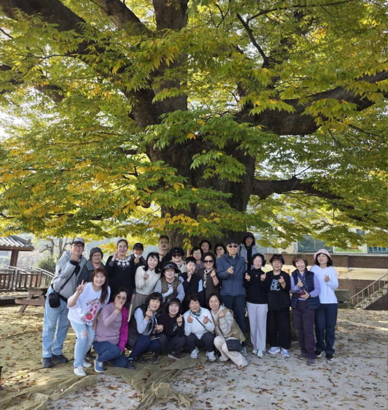 사본 -KakaoTalk_20251105_191625948_02.jpg